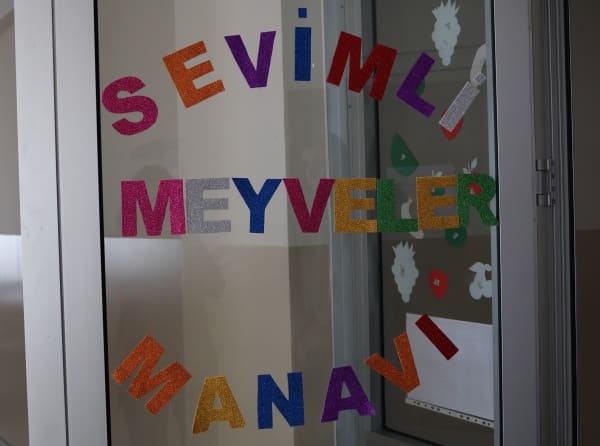 SEVİMLİ MEYVELER MANAVI